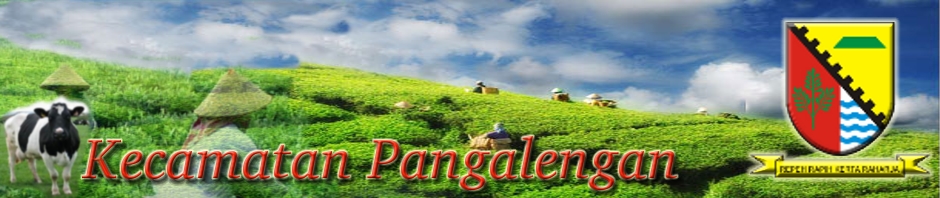 Website Kecamatan Pangalengan